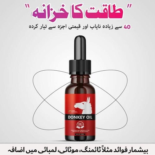 BDonkey Oil Price in Pakistan
